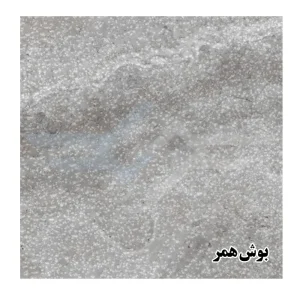 تراورتن سیلور بوش همر