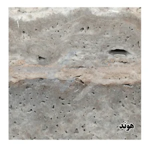 تراورتن سیلور هوند